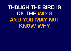 THOUGH THE BIRD IS
ON THE WING
AND YOU MAY NOT

KNOW WHY