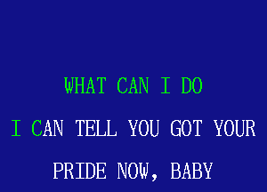 WHAT CAN I DO
I CAN TELL YOU GOT YOUR
PRIDE NOW, BABY