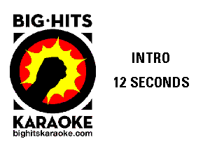 BIG-HITS
P' V

INTRO
12 SECONDS

KARAOKE

bighitskaraokecom