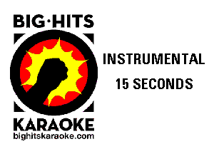 BIG-HITS
P' V

INSTRUMENTAL
15 SECONDS

KARAOKE

bighitskaraoke com