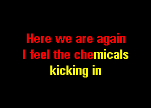 Here we are again

I feel the chemicals
kicking in