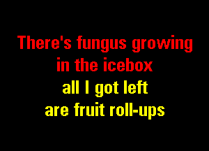 There's fungus growing
in the icehox

all I got left
are fruit roll-ups