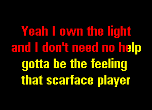 Yeah I own the light
and I don't need no help
gotta be the feeling
that scarface player