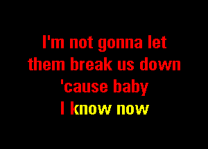 I'm not gonna let
them break us down

'cause baby
I know now