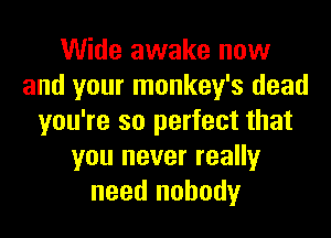 Wide awake now
and your monkey's dead
you're so perfect that
you never really
need nobody
