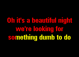 Oh it's a beautiful night

we're looking for
something dumb to do