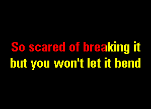 So scared of breaking it

but you won't let it bend