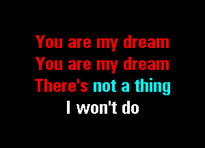 You are my dream
You are my dream

There's not a thing
I won't do