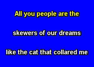 All you people are the

skewers of our dreams

like the cat that collared me