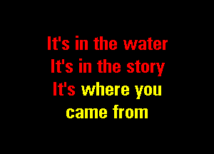 It's in the water
It's in the story

It's where you
came from