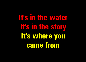 It's in the water
It's in the story

It's where you
came from