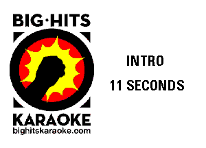 BIG-HITS
P' V

INTRO
11 SECONDS

KARAOKE

bighitskaraokecom