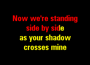 Now we're standing
side by side

as your shadow
crosses mine