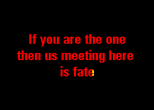 If you are the one

than us meeting here
is fate