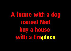 A future with a dog
named Ned

buy a house
with a fireplace