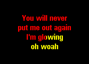 You will never
put me out again

I'm glowing
oh woah