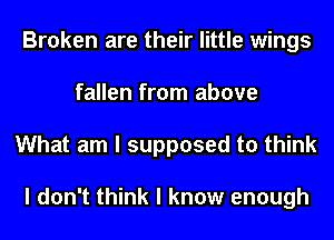 Broken are their little wings
fallen from above
What am I supposed to think

I don't think I know enough