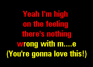 Yeah I'm high
on the feeling

there's nothing
wrong with m....e
(You're gonna love this!)