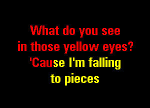 What do you see
in those yellow eyes?

'Cause I'm falling
to pieces