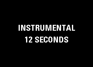 INSTRUMENTAL

12 SECONDS