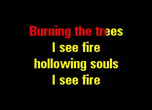 Burning the trees
I see fire

hollowing souls
I see fire