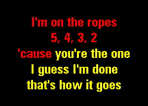 I'm on the ropes
5, 4, 3, 2

'cause you're the one
I guess I'm done
that's how it goes