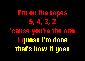 I'm on the ropes
5, 4, 3, 2

'cause you're the one
I guess I'm done
that's how it goes