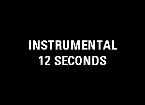 INSTRUMENTAL

12 SECONDS