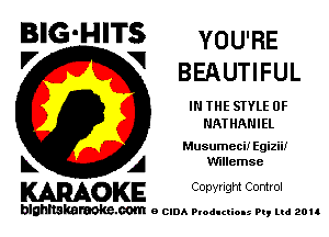 BIG'HITS YOU'RE
'7 V BEAUTIFUL

IN THE STYLE 0F
NATHANIEL

Musumeci! Egizii!

L A vmlemse
WOKE Copynght Control

blghnskaraokc.com o CIDA P'oducliOIs m, ud zou