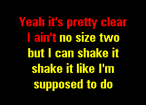 Yeah it's pretty clear
I ain't no size two

but I can shake it
shake it like I'm
supposed to do