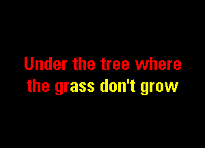 Under the tree where

the grass don't grow
