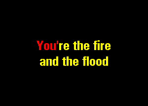 You're the fire

and the flood