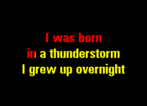 I was born

in a thunderstorm
I grew up overnight