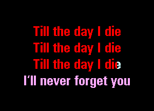 Till the day I die
Till the day I die

Till the day I die
I'll never forget you