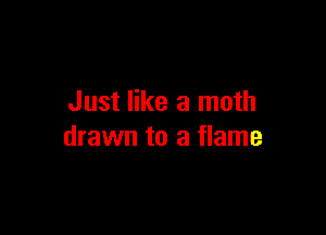 Just like a moth

drawn to a flame