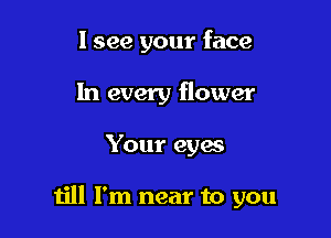 I see your face
In every flower

Your eyes

till I'm near to you