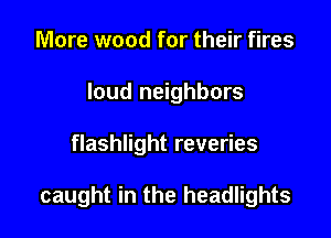 More wood for their fires
loud neighbors

flashlight reveries

caught in the headlights