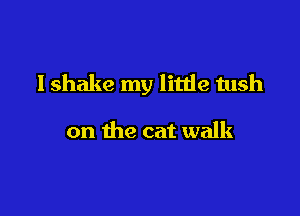 I shake my little tush

on the cat walk