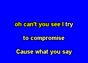 oh can't you see I try

to compromise

Cause what you say