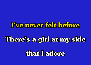 I've never felt before

There's a girl at my side

that I adore