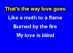 That's the way love goes

Like a moth to a flame
Burned by the fire
My love is blind