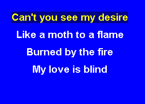 Can't you see my desire
Like a moth to a flame
Burned by the fire

My love is blind