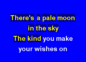 There's a pale moon

in the sky

The kind you make
your wishes on