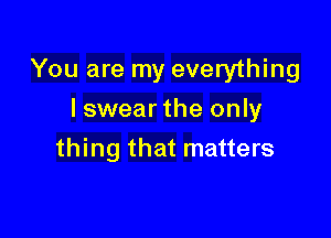 You are my everything

I swearthe only
thing that matters