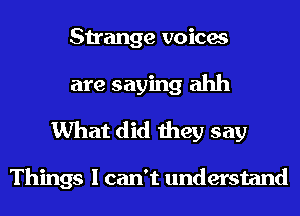 Strange voices
are saying ahh
What did they say

Things I can't understand