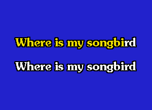 Where is my songbird

Where is my songbird