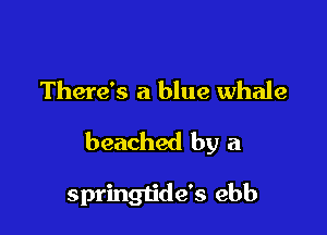 There's a blue whale

beached by a

springljde's ebb