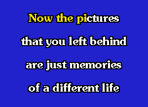 Now the pictures
that you left behind
are just memories

of a different life