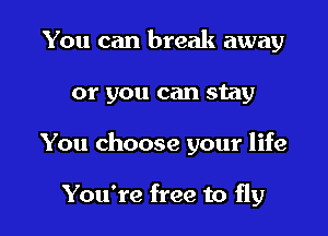 You can break away

or you can stay

You choose your life

You're free to fly