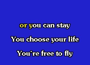 or you can stay

You choose your life

You're free to fly